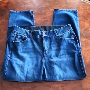 Lane Bryant Straight Dark Jeans - Size 20 Petite
